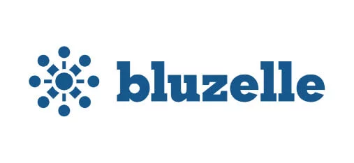 Hammerhead web design client Bluzelle