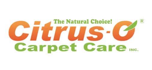 Smart Digital Strategy & Digital Marketing helped Citrus-O increase conversions by 389%