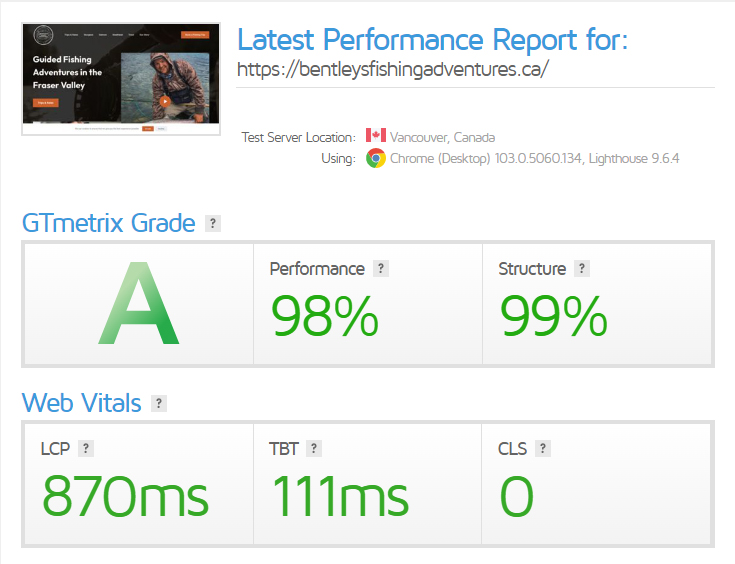 Performance Report for a Small Business Website